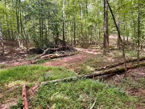 Lot 5 Fowler Creek Drive Cleveland GA 30528