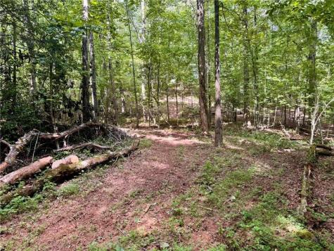 Lot 5 Fowler Creek Drive Cleveland GA 30528