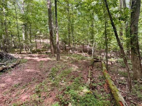 Lot 5 Fowler Creek Drive Cleveland GA 30528