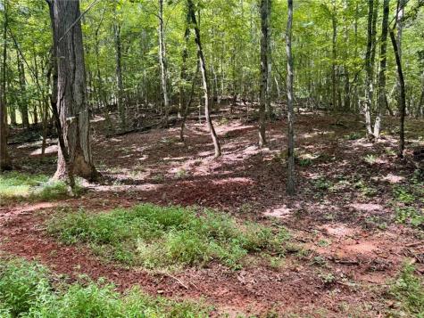Lot 5 Fowler Creek Drive Cleveland GA 30528