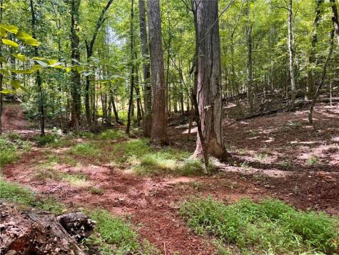 Lot 5 Fowler Creek Drive Cleveland GA 30528
