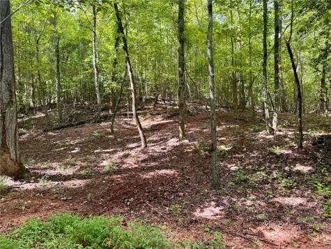 Lot 5 Fowler Creek Drive Cleveland GA 30528