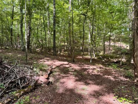 Lot 5 Fowler Creek Drive Cleveland GA 30528