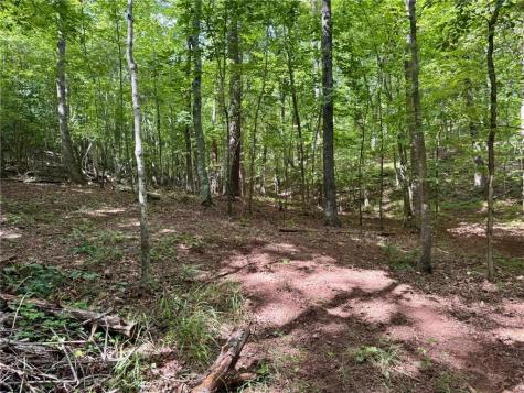 Lot 5 Fowler Creek Drive Cleveland GA 30528