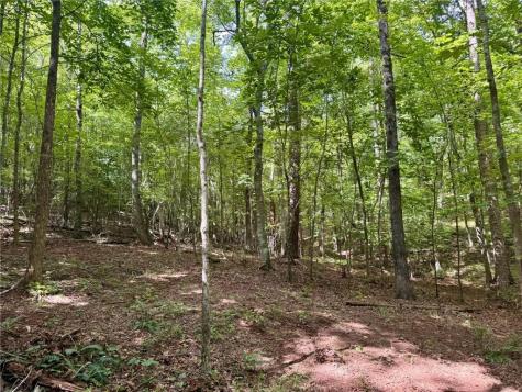 Lot 5 Fowler Creek Drive Cleveland GA 30528