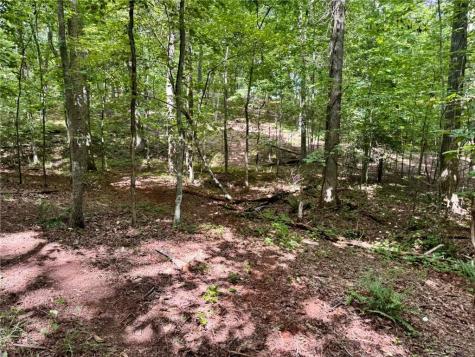 Lot 5 Fowler Creek Drive Cleveland GA 30528