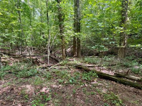 Lot 5 Fowler Creek Drive Cleveland GA 30528