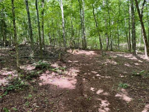 Lot 5 Fowler Creek Drive Cleveland GA 30528