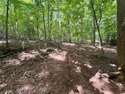 Lot 5 Fowler Creek Drive Cleveland GA 30528
