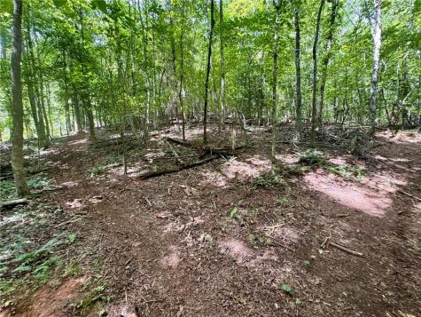 Lot 5 Fowler Creek Drive Cleveland GA 30528