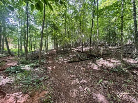 Lot 5 Fowler Creek Drive Cleveland GA 30528