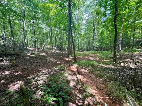 Lot 5 Fowler Creek Drive Cleveland GA 30528