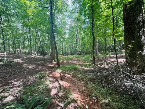 Lot 5 Fowler Creek Drive Cleveland GA 30528