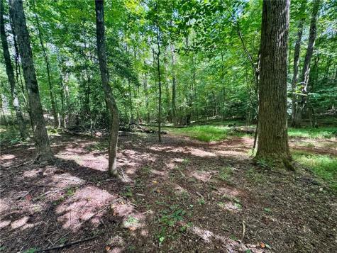 Lot 5 Fowler Creek Drive Cleveland GA 30528