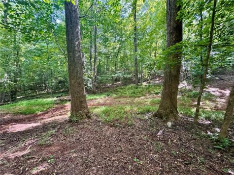 Lot 5 Fowler Creek Drive Cleveland GA 30528