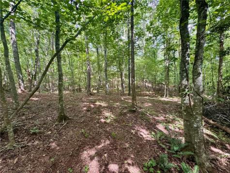 Lot 5 Fowler Creek Drive Cleveland GA 30528