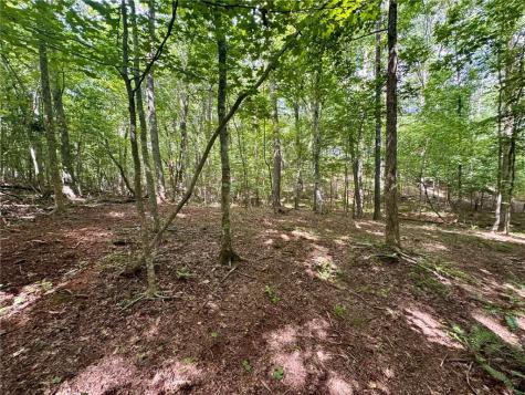 Lot 5 Fowler Creek Drive Cleveland GA 30528