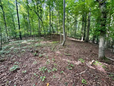 Lot 5 Fowler Creek Drive Cleveland GA 30528
