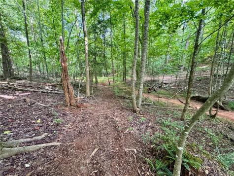 Lot 5 Fowler Creek Drive Cleveland GA 30528