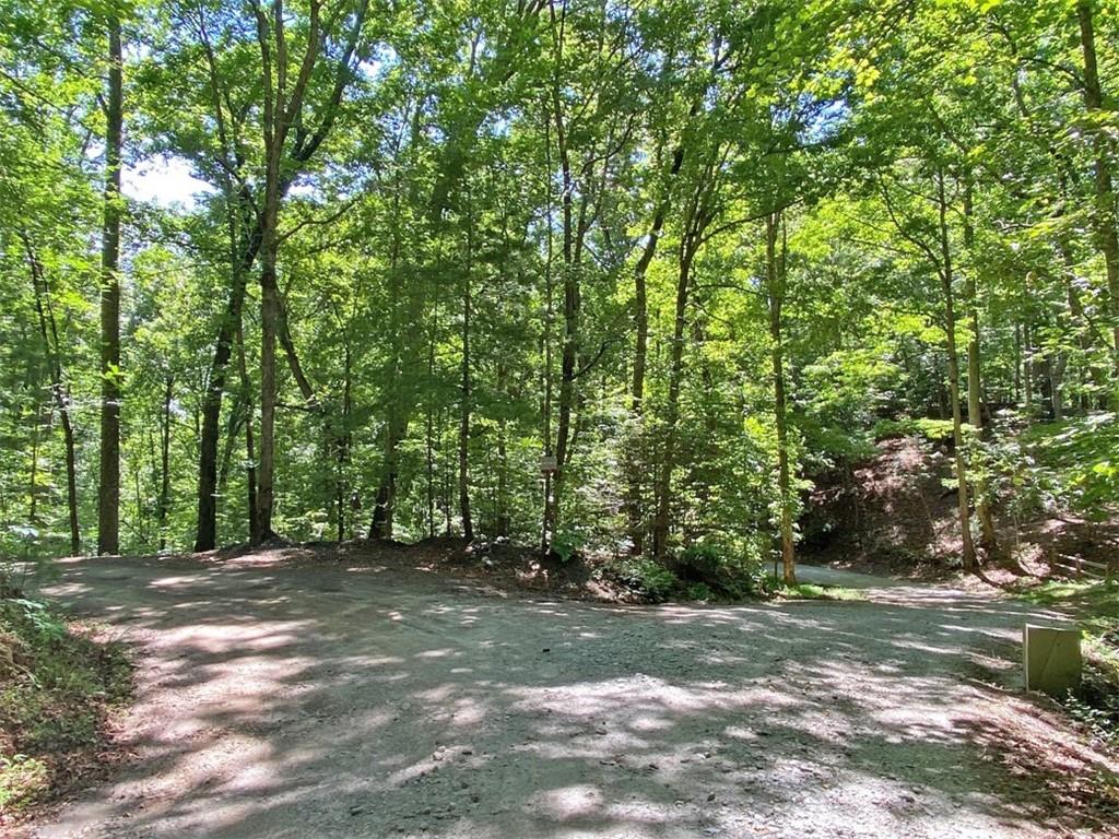 2.4AC Old River Road Dahlonega GA 30533