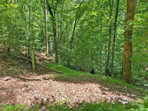 2.4AC Old River Road Dahlonega GA 30533