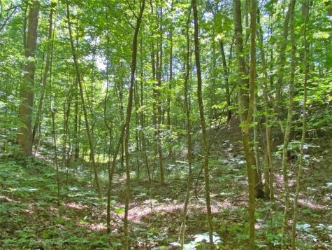 2.4AC Old River Road Dahlonega GA 30533