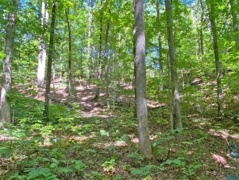 2.4AC Old River Road Dahlonega GA 30533