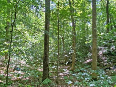 2.4AC Old River Road Dahlonega GA 30533