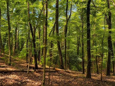 J208 Pine Ridge Road Ellijay GA 30536