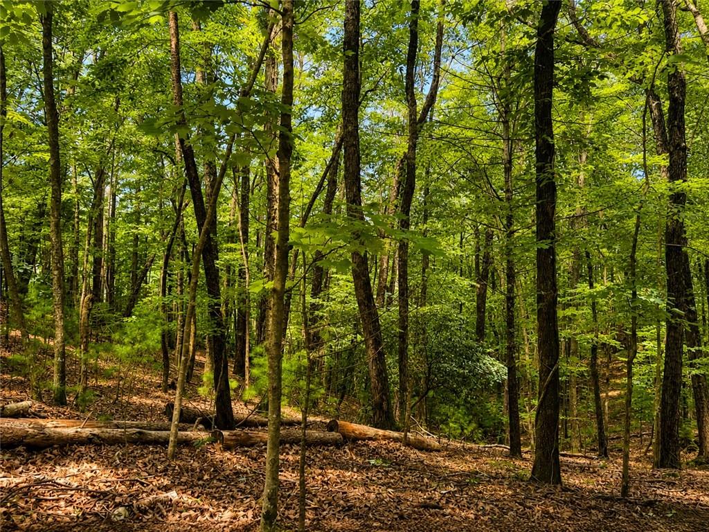 J208 Pine Ridge Road Ellijay GA 30536