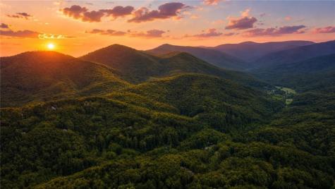 J208 Pine Ridge Road Ellijay GA 30536