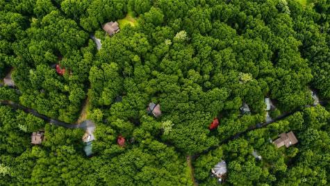 J208 Pine Ridge Road Ellijay GA 30536