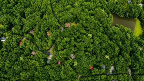J208 Pine Ridge Road Ellijay GA 30536