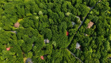 J208 Pine Ridge Road Ellijay GA 30536
