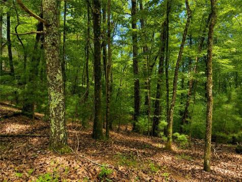 J208 Pine Ridge Road Ellijay GA 30536