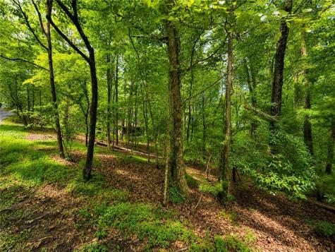 J208 Pine Ridge Road Ellijay GA 30536