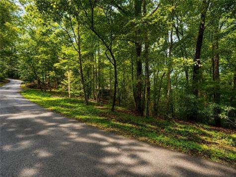 J208 Pine Ridge Road Ellijay GA 30536