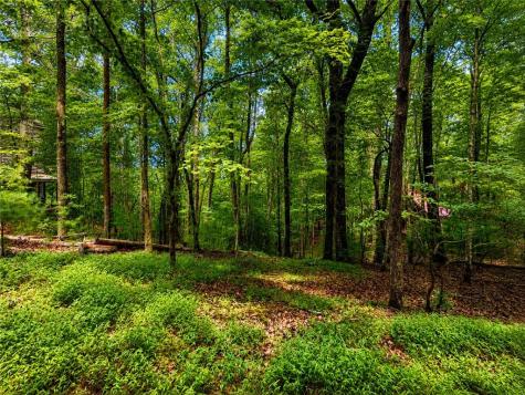 J208 Pine Ridge Road Ellijay GA 30536