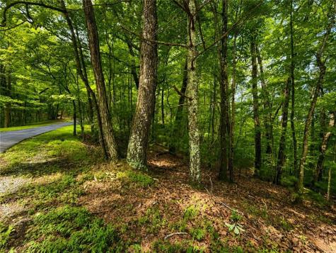 J208 Pine Ridge Road Ellijay GA 30536