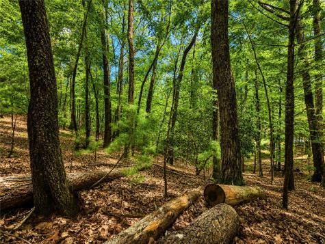 J208 Pine Ridge Road Ellijay GA 30536