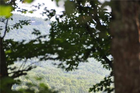 8261 Cox Mountain Drive Big Canoe GA 30143