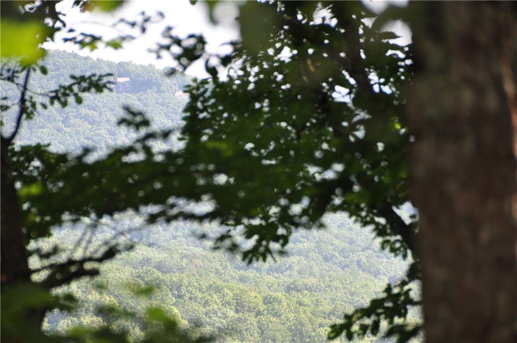 8261 Cox Mountain Drive Big Canoe GA 30143