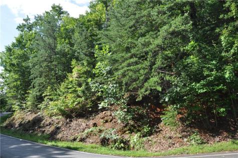 8261 Cox Mountain Drive Big Canoe GA 30143