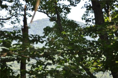 8261 Cox Mountain Drive Big Canoe GA 30143