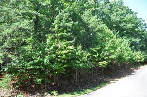 8261 Cox Mountain Drive Big Canoe GA 30143