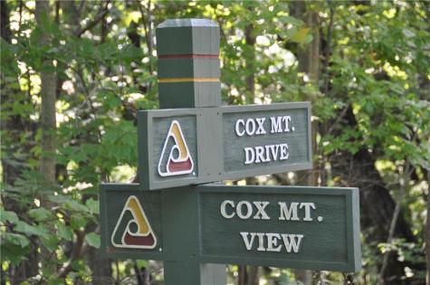 8261 Cox Mountain Drive Big Canoe GA 30143