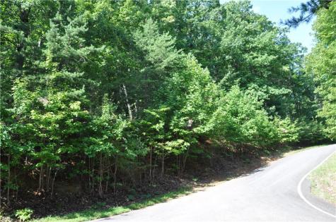 8261 Cox Mountain Drive Big Canoe GA 30143