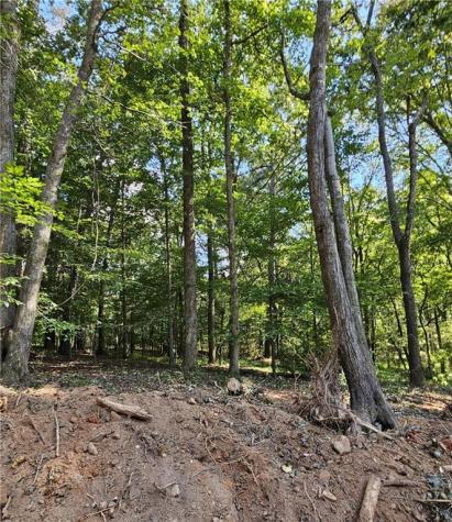 7619 Yukon Road Talking Rock GA 30175
