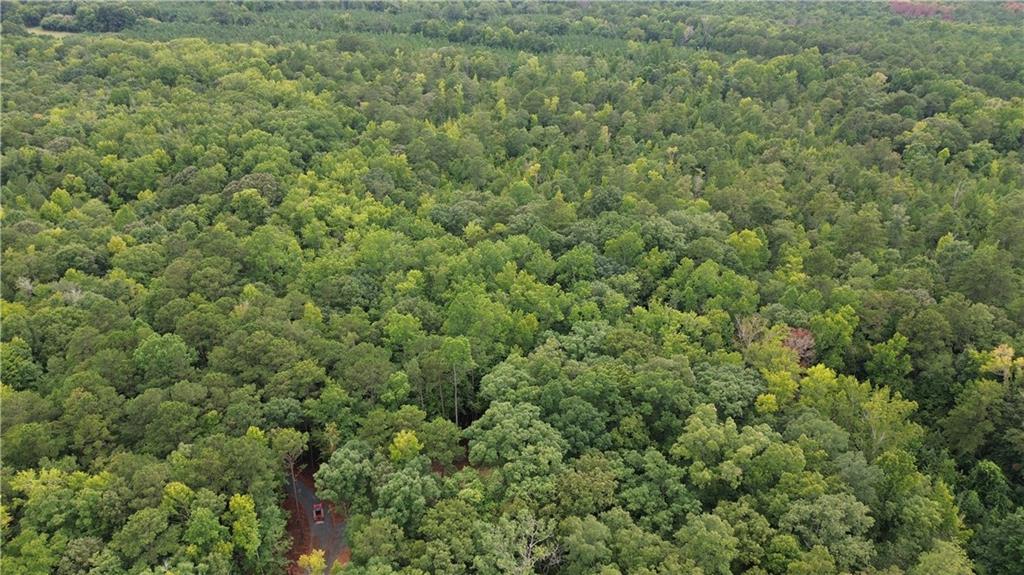 0 Roosevelt Hwy - 20.58 Acres Warm Springs GA 31830