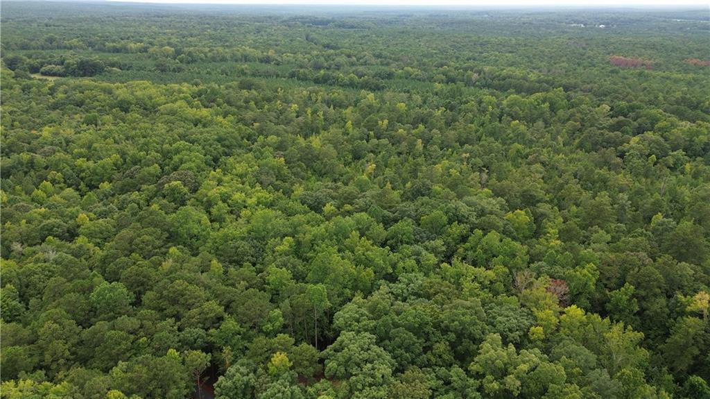 0 Roosevelt Hwy - 20.58 Acres Warm Springs GA 31830